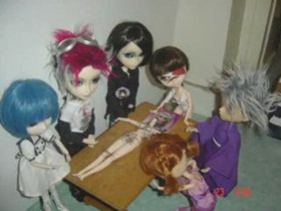 Mes pullips