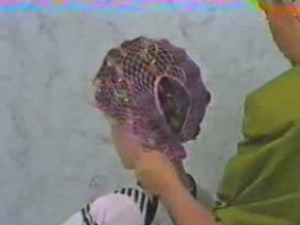 Icroll2