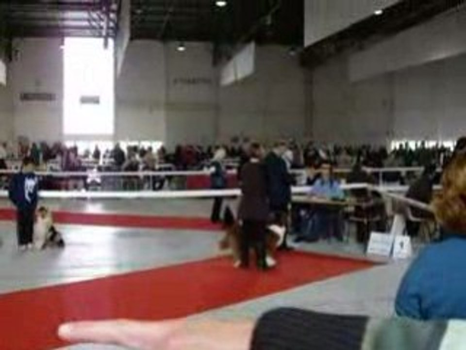 Natou passe devant le juge