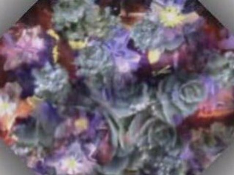 Покана за представяне на книга на Адриана Зарева