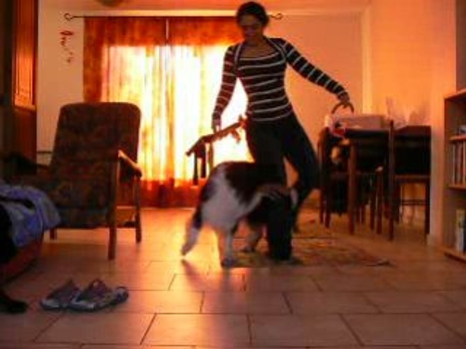 bounty obé R 22/11/08