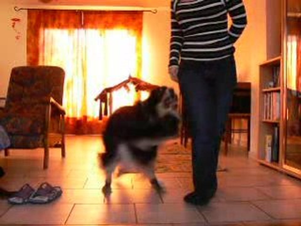 obé rythmée le 22/11/08