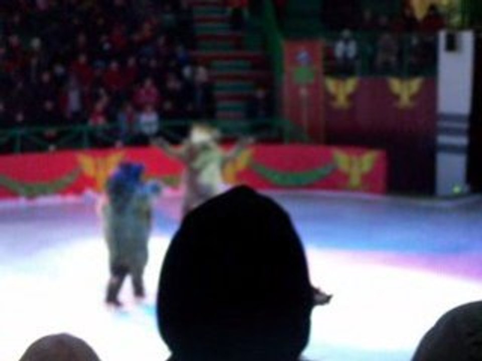 spectacle sur glace 2