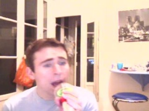 Wiwi égratigne Can you feel the love tonight