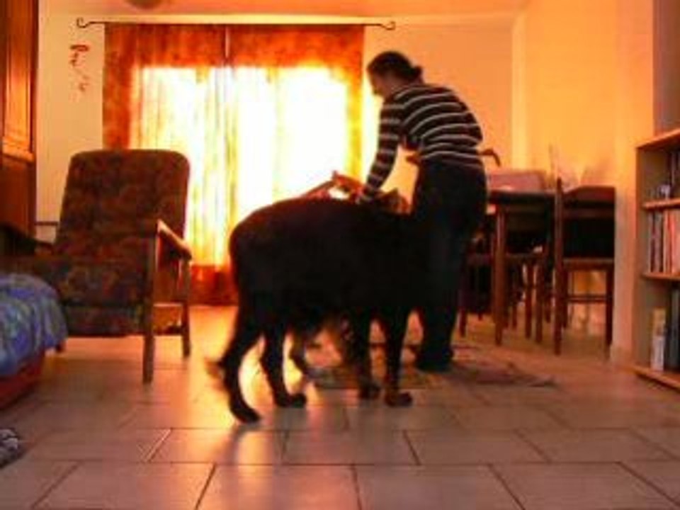 obé rythmée le 22/11/08