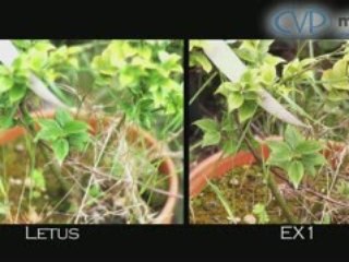 A guide to the Letus Extreme & 35mm adaptors