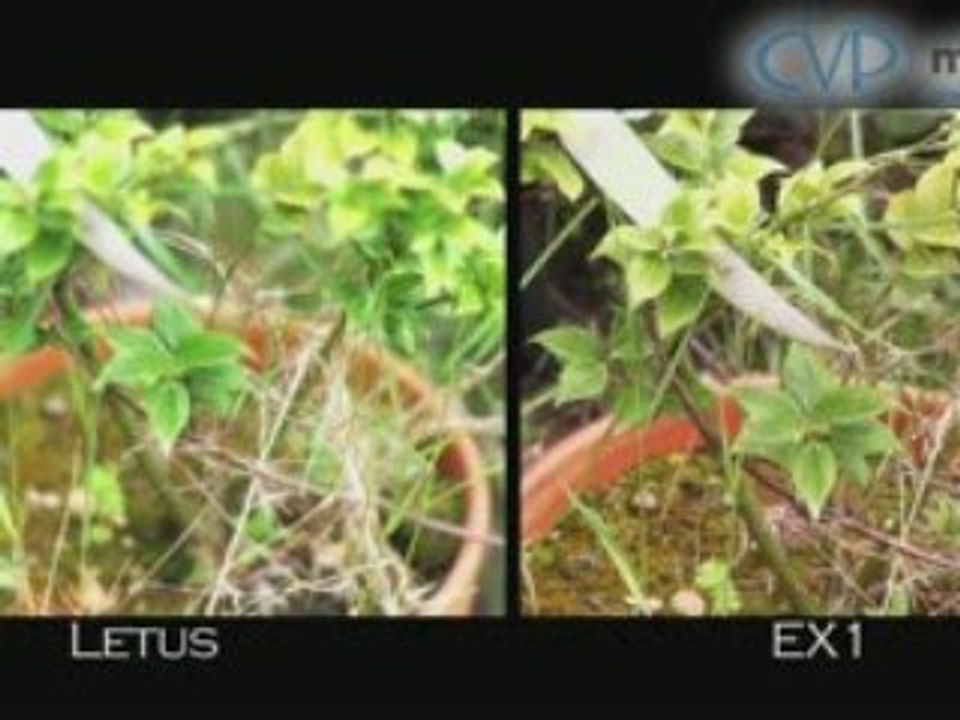 A guide to the Letus Extreme & 35mm adaptors