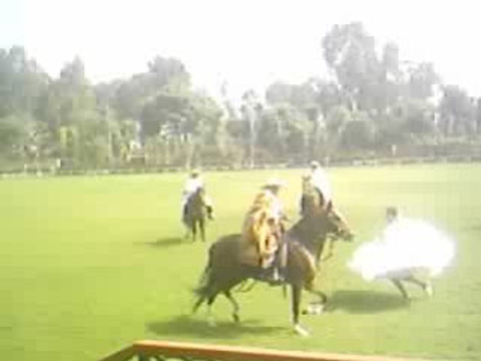 Video MARINERA CON CABALLO DE PASO
