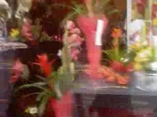 2 Bourrées à Fresnes²