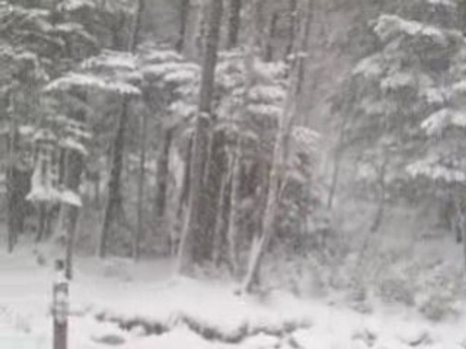 DSCF0208
