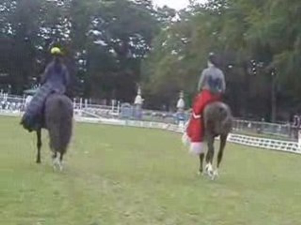 Pas de deux anglaises nantes