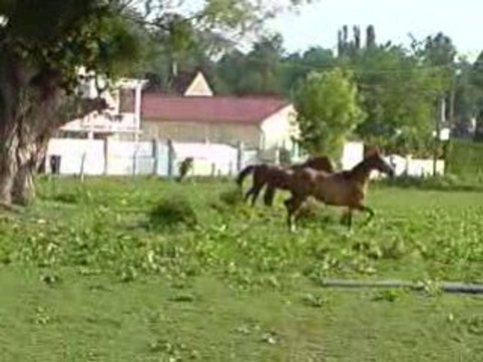 V190508_08.31