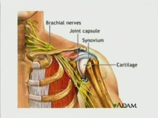 Shoulder Injuries (Part 2)