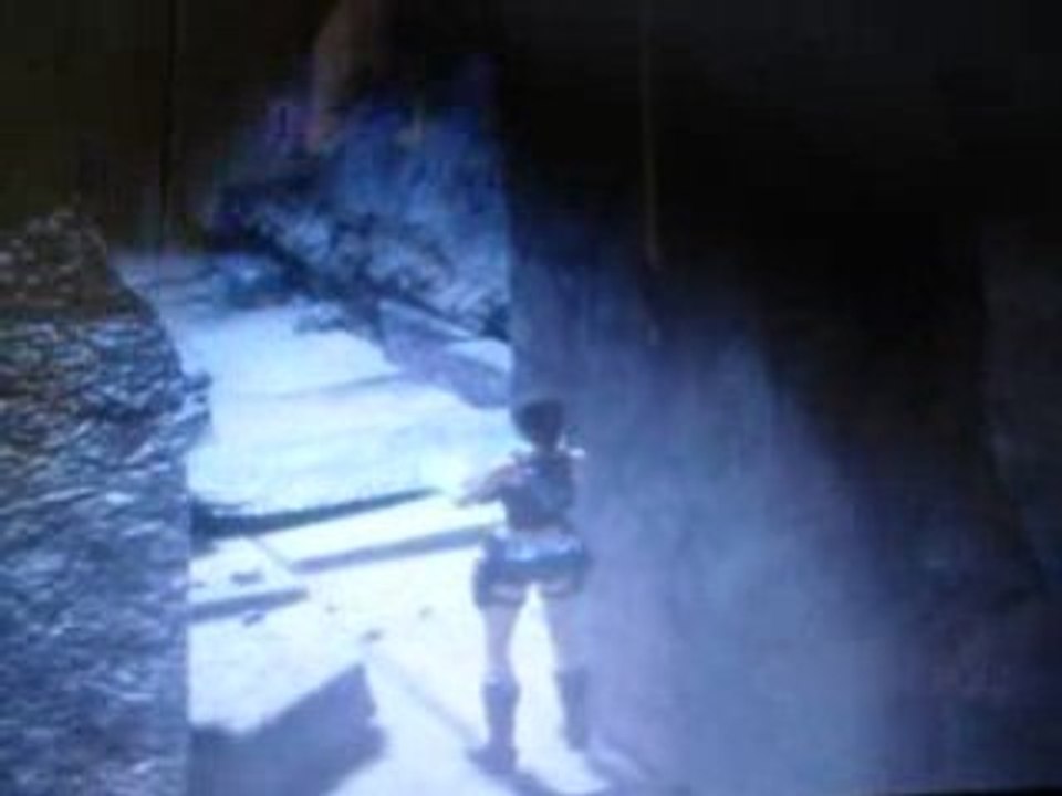Tom braider bug