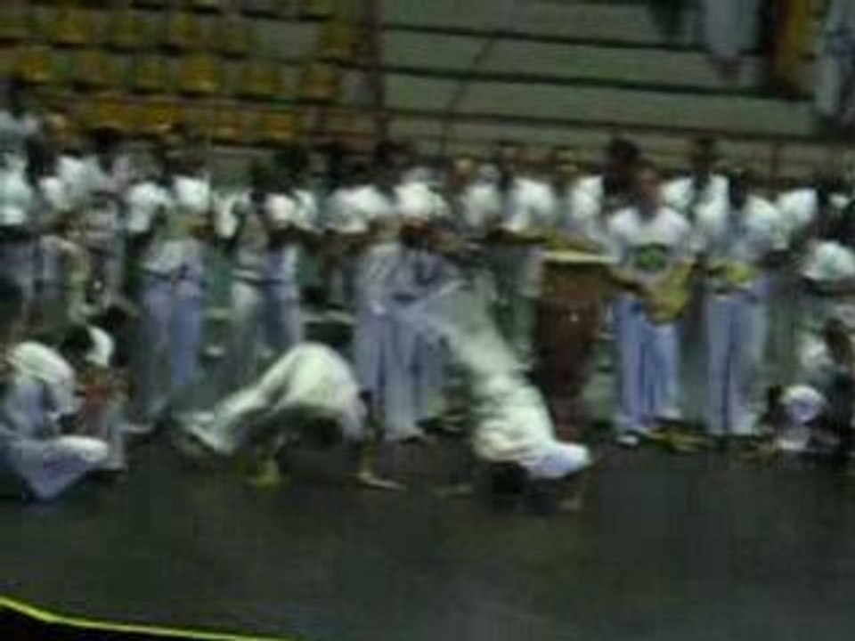 Jogo de Amazonas