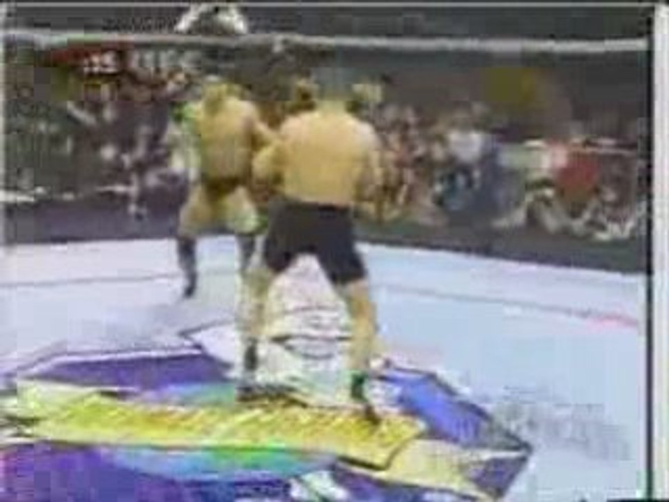 Top 10 MMA slam knockouts