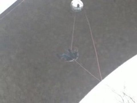 Descente en rappel Viaduc fauvettes - Alion puit