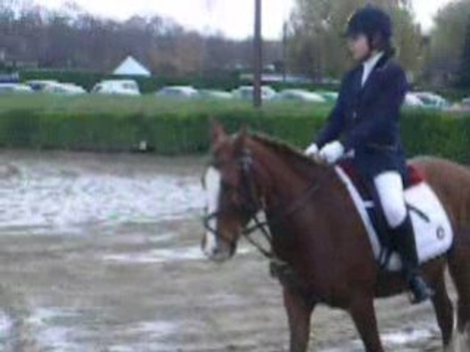 Dressage au Chesnay