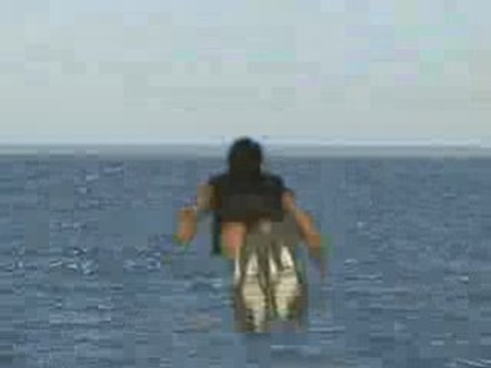 voler sur la mer