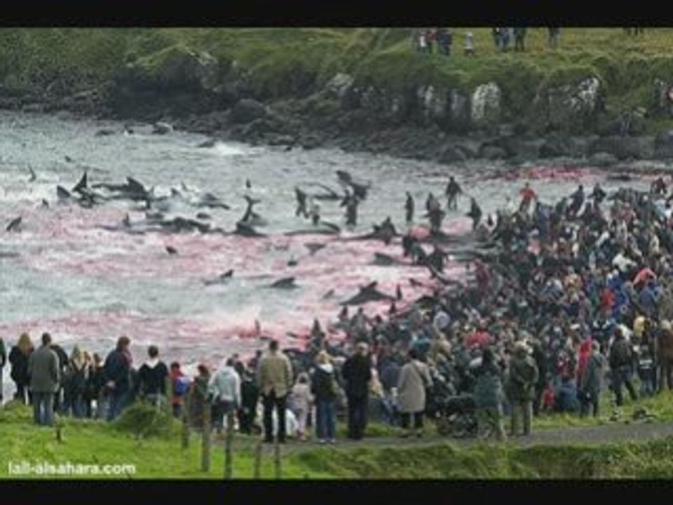Danemark massacre