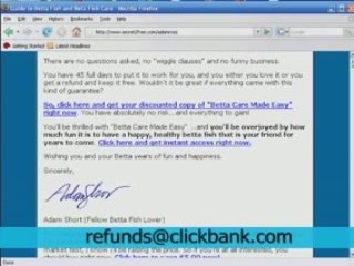 Feed siamese fighting fish