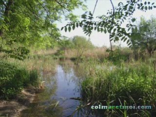 Scherkan adopté par nounours