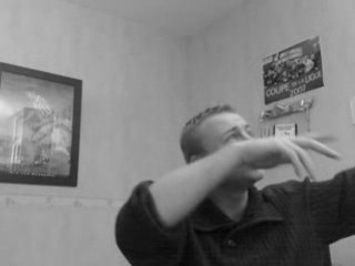 nico chante les oies sauvages