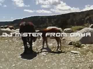 Mister From Gaya - Ice Cream Music