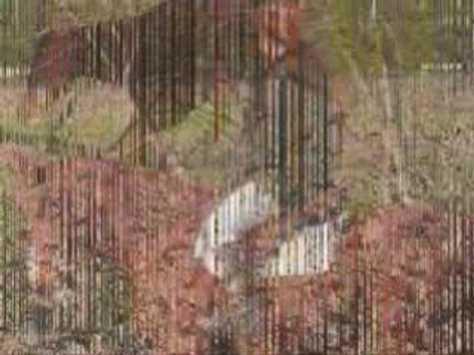 Montage de Baskim