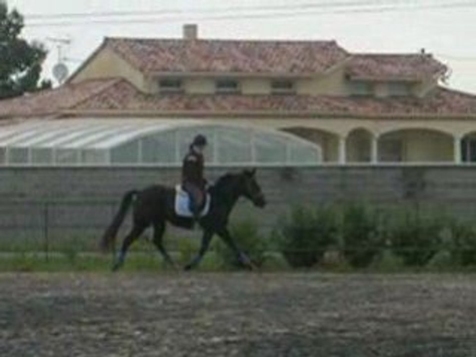 DSCN1833
