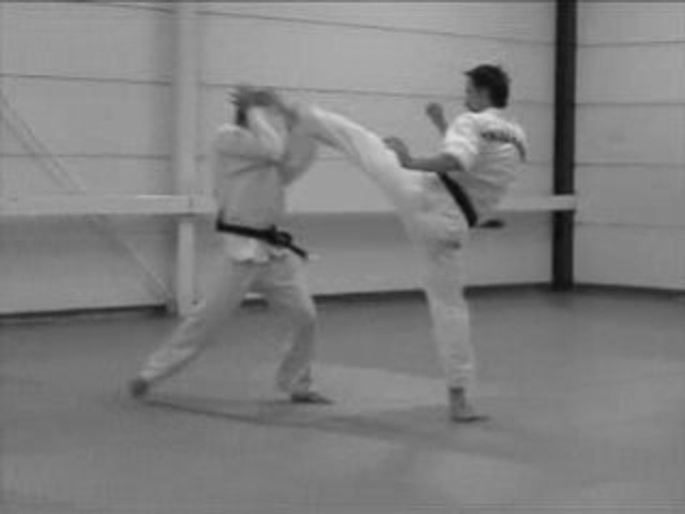 Taekwondo art