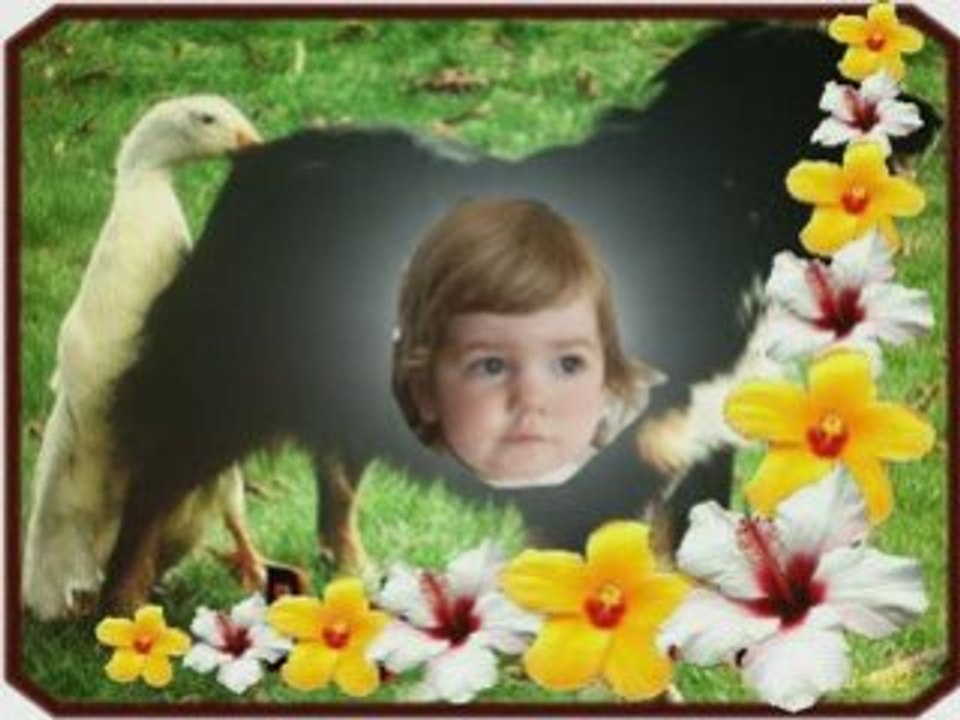 " Morgane