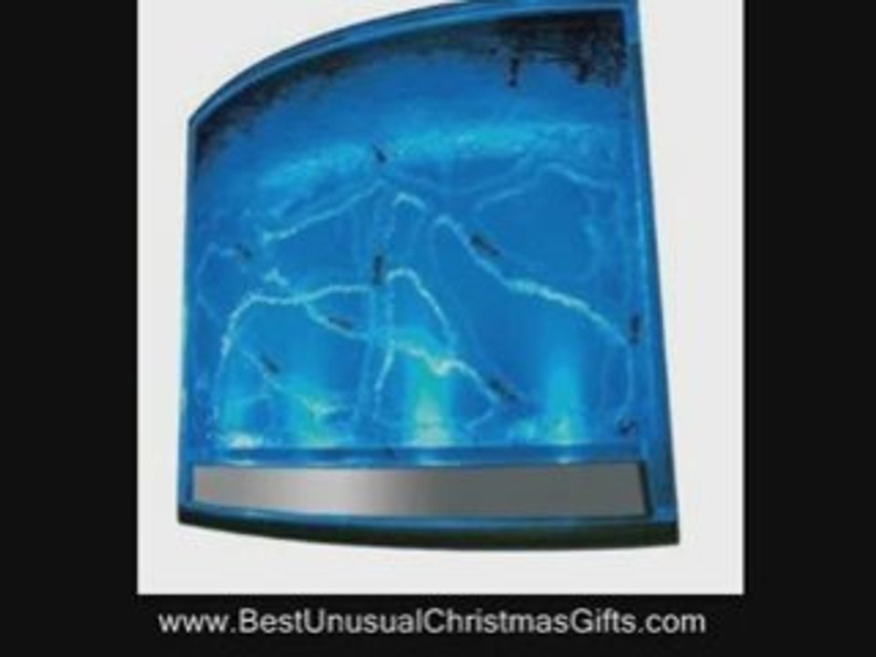 Antworks Illuminated Ant Farm Unusual Christmas Gift