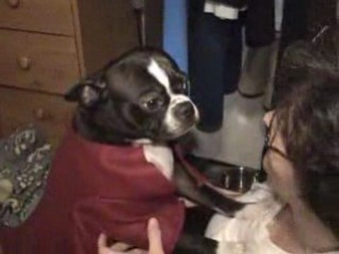 MKP MARTIN MARKS YELLS AT MY WIFE PATRICIA!