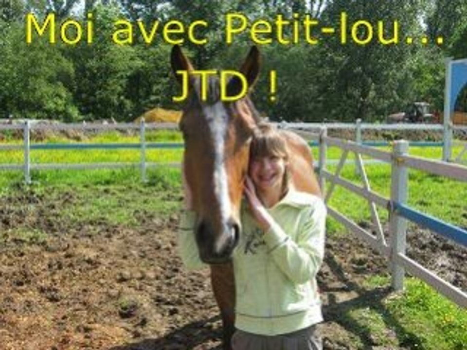 Journée chez nathalie avec les chevaux