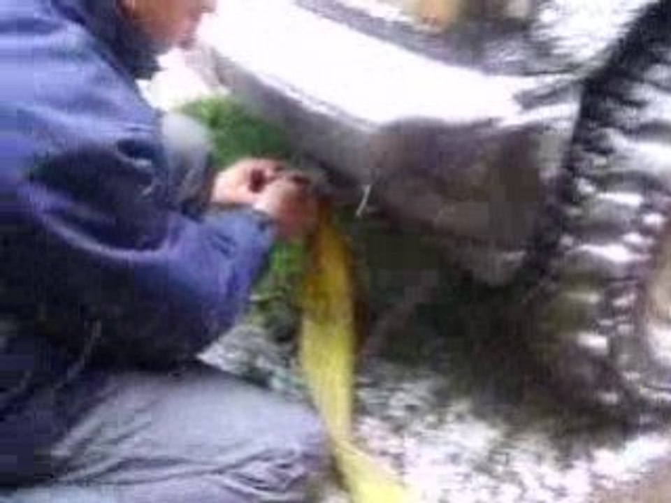 Prépa sangle VITARA Goupilette Rando Azergues 2008 IMG_0746