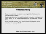 Jack Russell Terrier Training: Why Should You Not Punish You