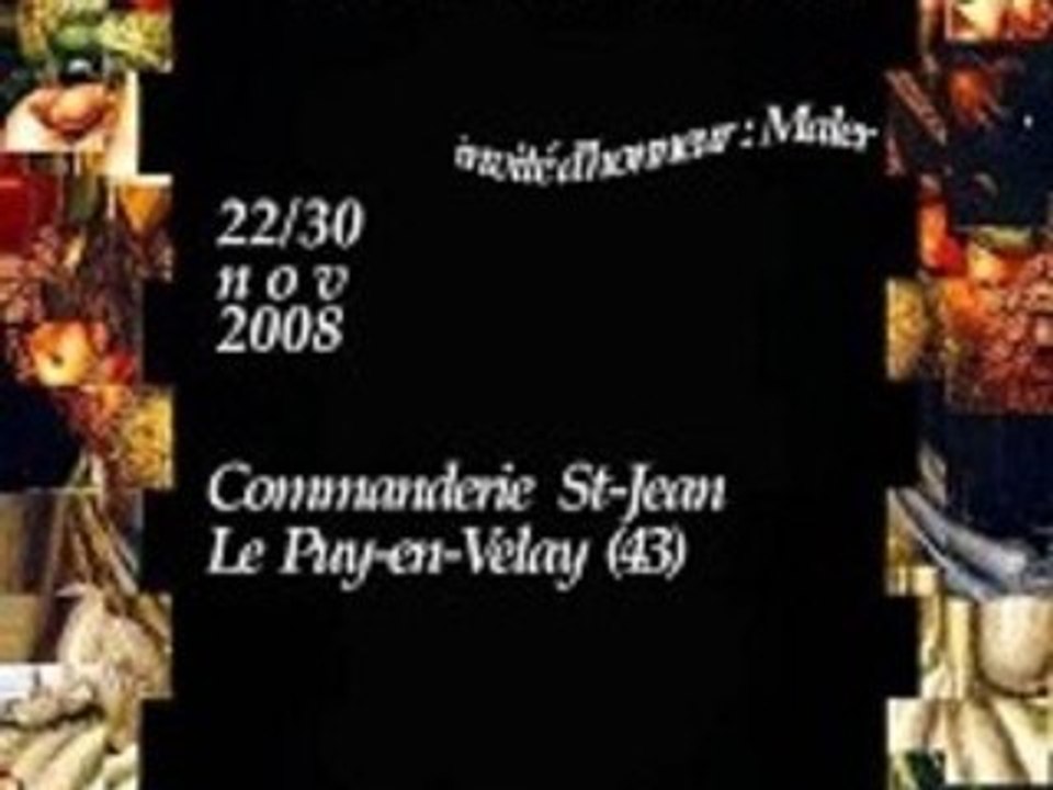 Salon des artiste du Velay en Haute-Loire au Puy en Velay