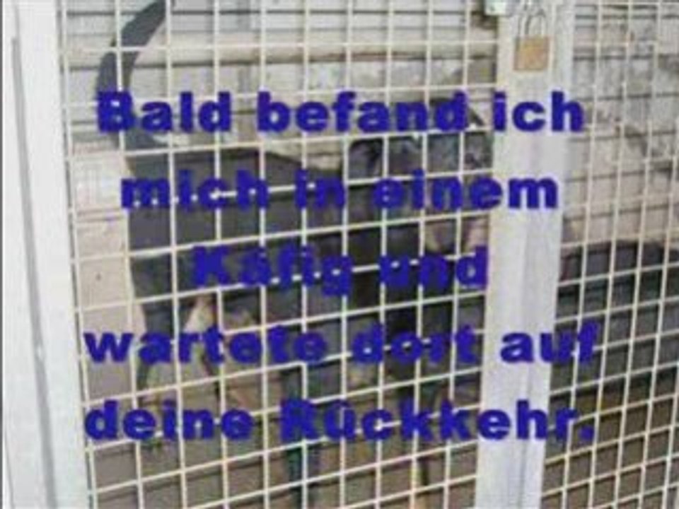 Geliebtes Herrchen