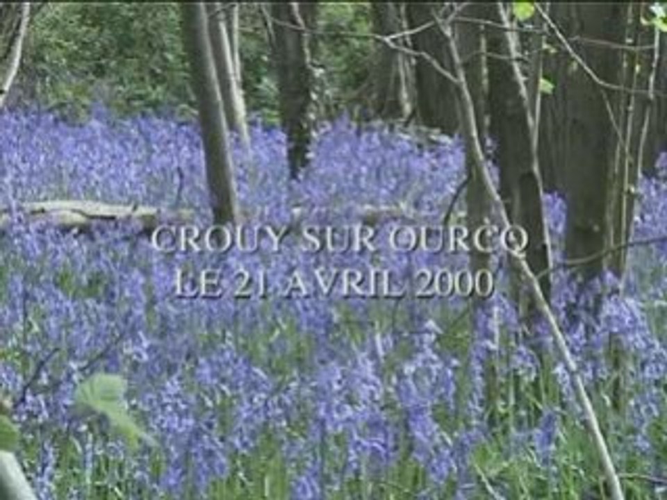 Randos-02-Crouy sur Ourcq