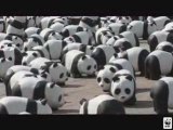 1600 pandas à Paris