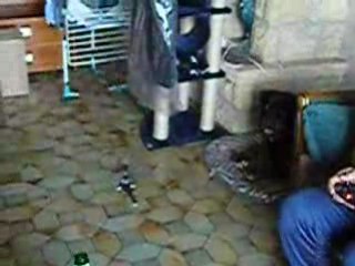 Arkos qui fait le pître! ^^