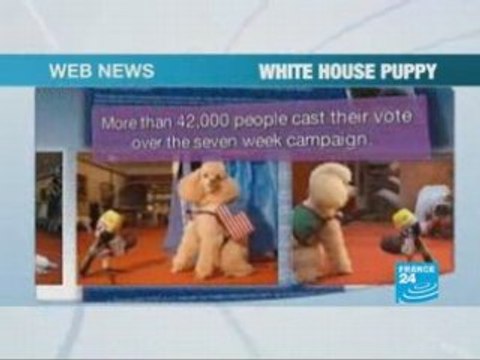 Web users debate terrorism-funding trial