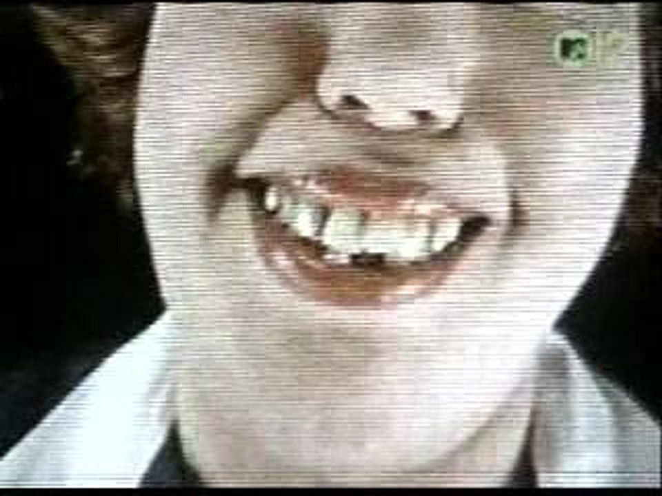 Violent Femmes - Blister in the sun