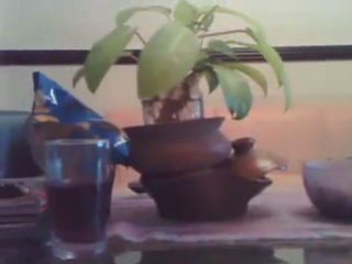 Halloween & NOWNESS 10-31-08