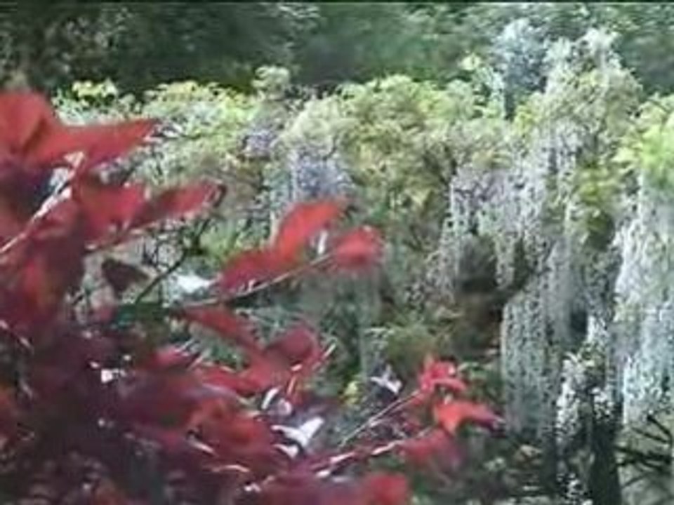 Sortie-04-Giverny