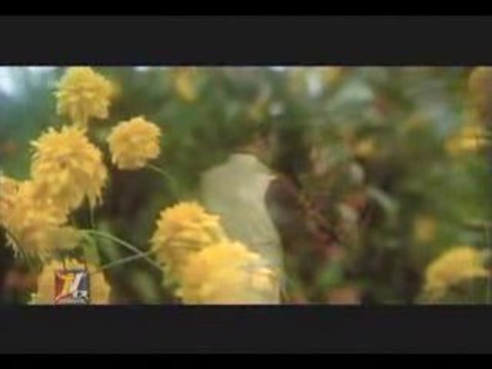 Kudrat - Hamen Tumse Pyar Kitna - Kishore Kumar