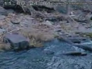 Festival de Belfort, la sélection (1)