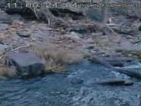 Festival de Belfort, la sélection (1)