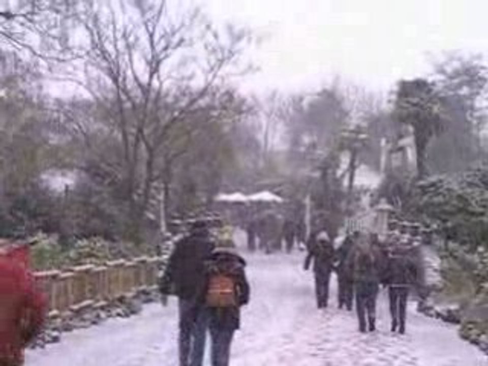 Disneyland sous la neige 23/11/08